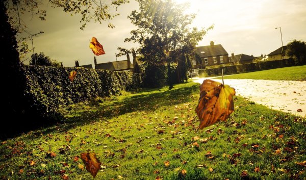 Осень ветер город люди