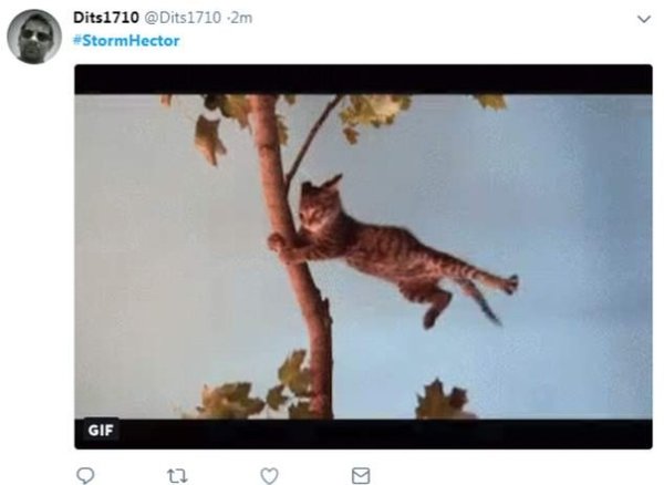 Легкий апрельский ветерок колышет арматуру