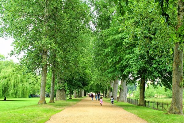 Парк мира Вологда