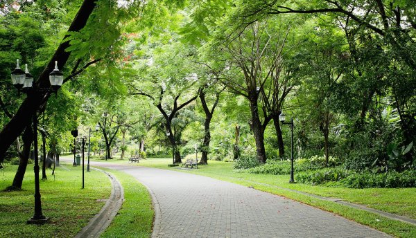 Зеленый парк Новогиреево