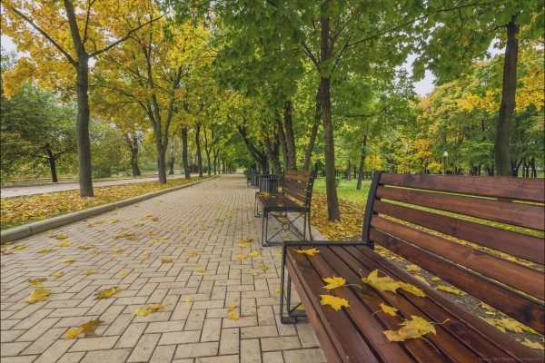 Московский парк с лавочками