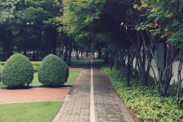 Green Park Ботанический сад двор