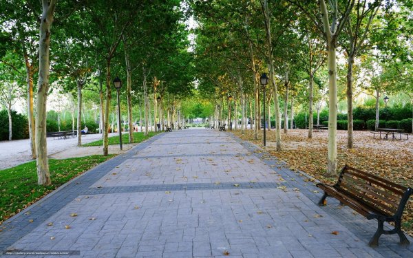 Аллея на улице мира Екатеринбург