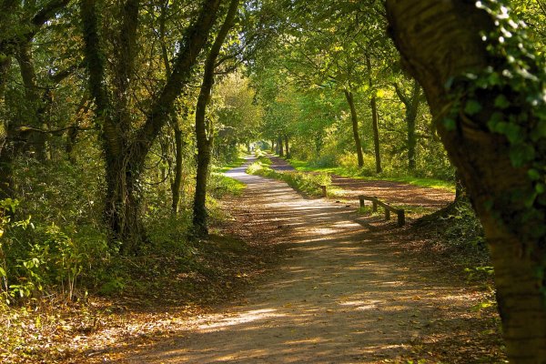 Парк Сайма тропинки