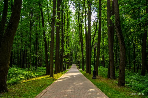 Парк Царицыно аллеи