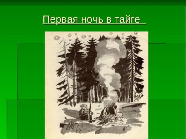 Иллюстрация к рассказу Васюткино озеро