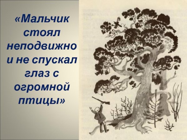 Рисунок к васюткиному озеру