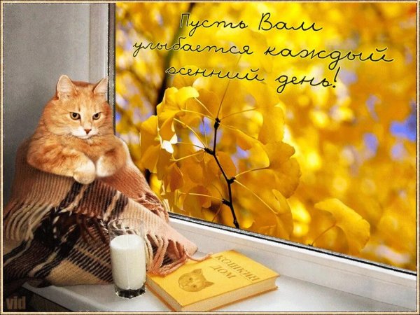 С добрым ноябрьским утром