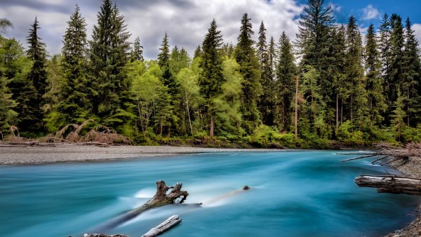 Национальный парк Олимпик Вашингтон на рабочий стол