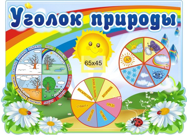Календарь природы для детского сада