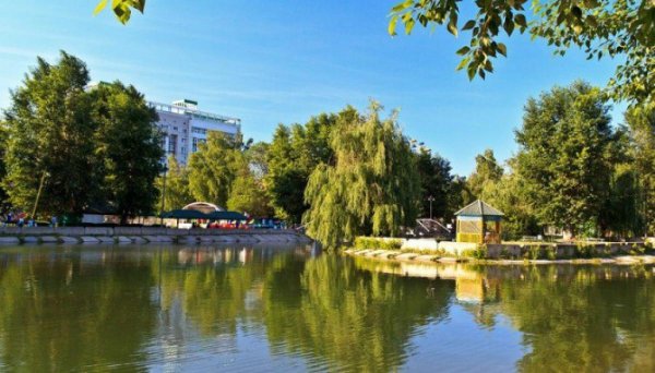 Парк изумрудный Барнаул пруд