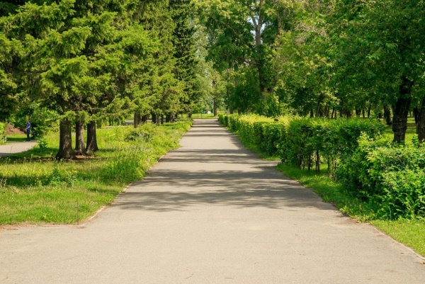 Барнаул парк изумрудный кладбище