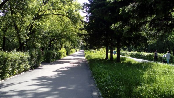 Парк изумрудный Барнаул