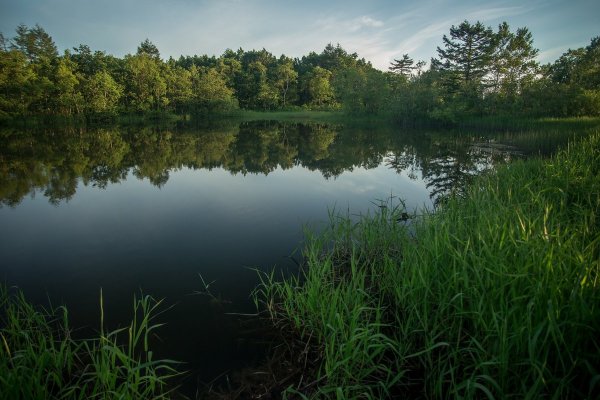 Тамбовская область озеро Лесное
