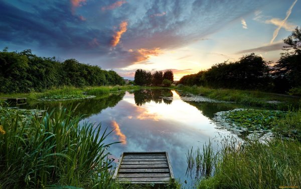 Река в лесу