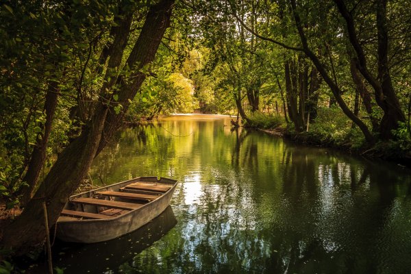 Красивый пейзаж