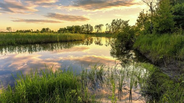 Пруд и река