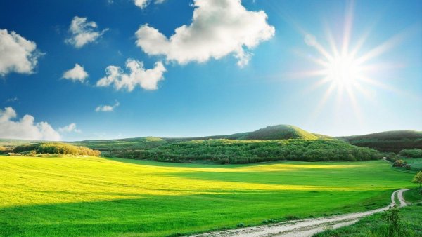 Солнечный день