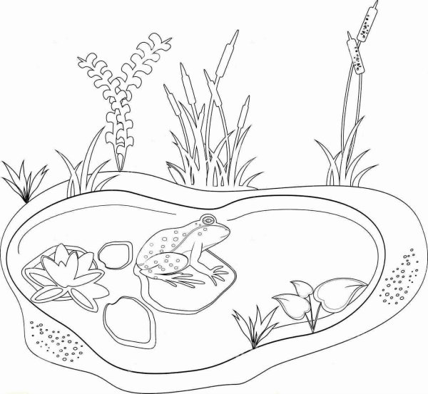 Водоем раскраска для детей