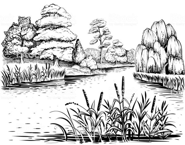 Раскраска природа река лес