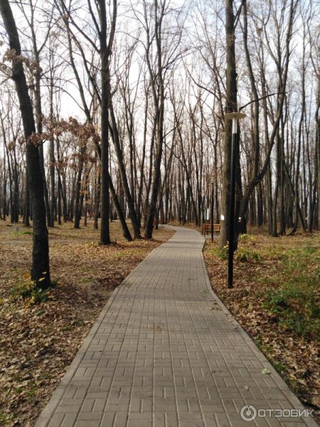 Россия, Ульяновск, парк Прибрежный