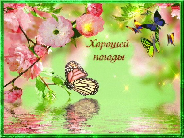 Поздравления с добрым днем с природой