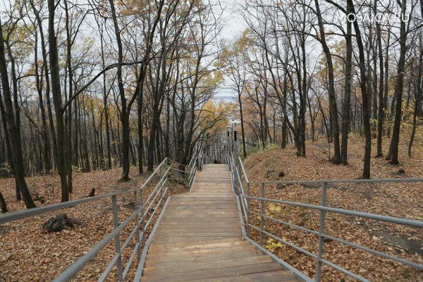 Ульяновск новый город парк Прибрежный