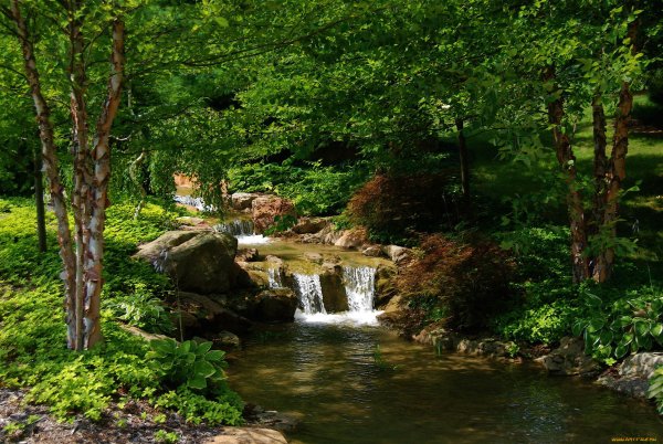 Дорский ручей