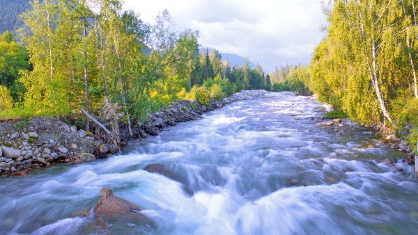 Исток горного ручья