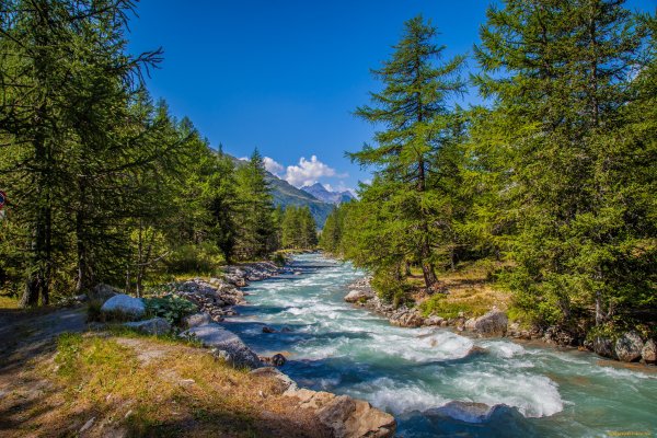 Горная река Талгар Шуга