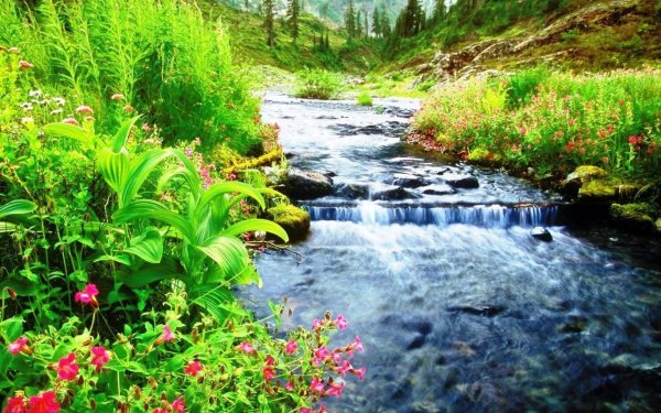 Родник, ручек, речка, река