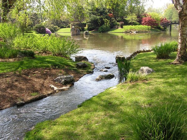 Ручей в парке