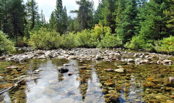 Каменная река Курагинский район