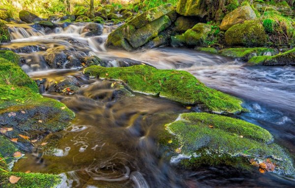 Большой ручей