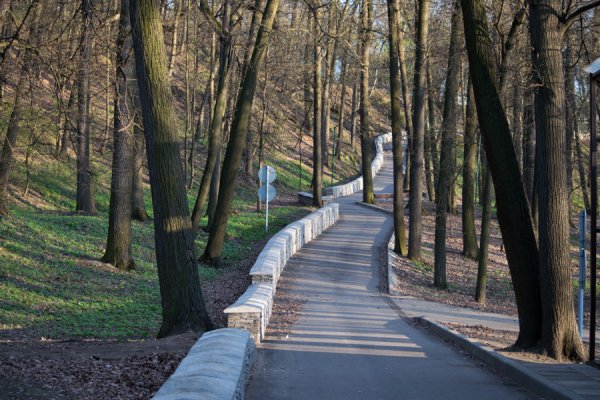 Филевский парк спуск к реке