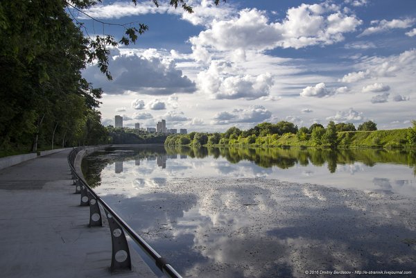 Фили Кунцевский парк