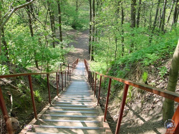 Филевский парк лестница