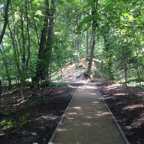 Филевский лесопарк