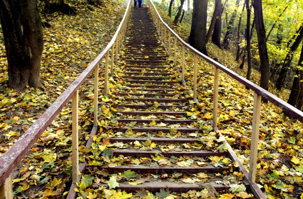 Парк Фили Москва осень