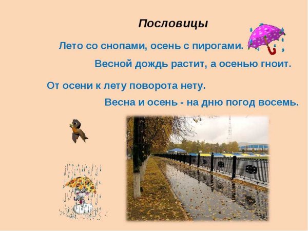Пословицы и поговорки о Дожде