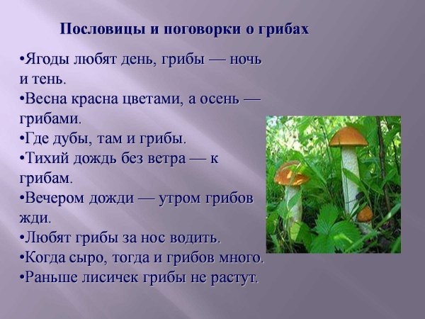 Пословицы о грибах