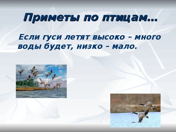 Природные приметы