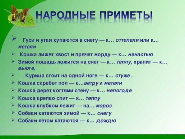Приметы о природе
