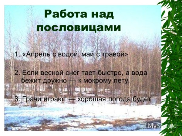 Пословицы и поговорки о погоде