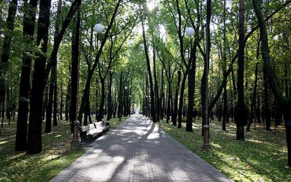 Минск Челюскинцев