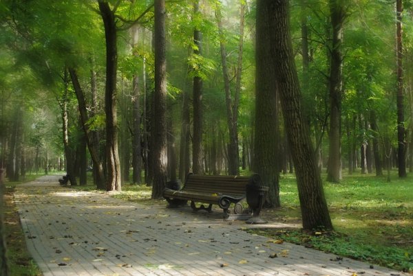 Парк Челюскинцев