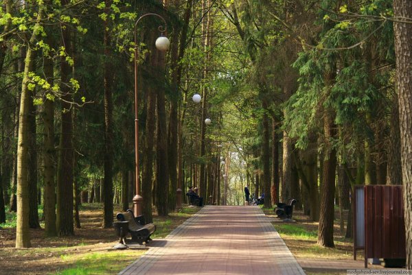 Парк Челюскинцев в Минске скульптуры