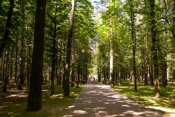 Парк Челюскинцев