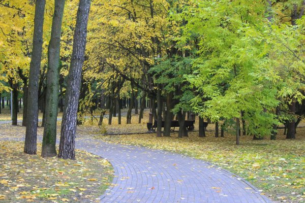 Парки РБ треугольника