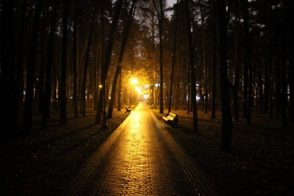 Парк Челюскинцев Петербург